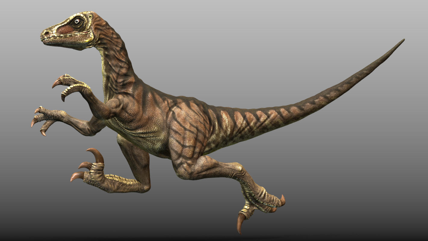 velociraptor dnd 5e