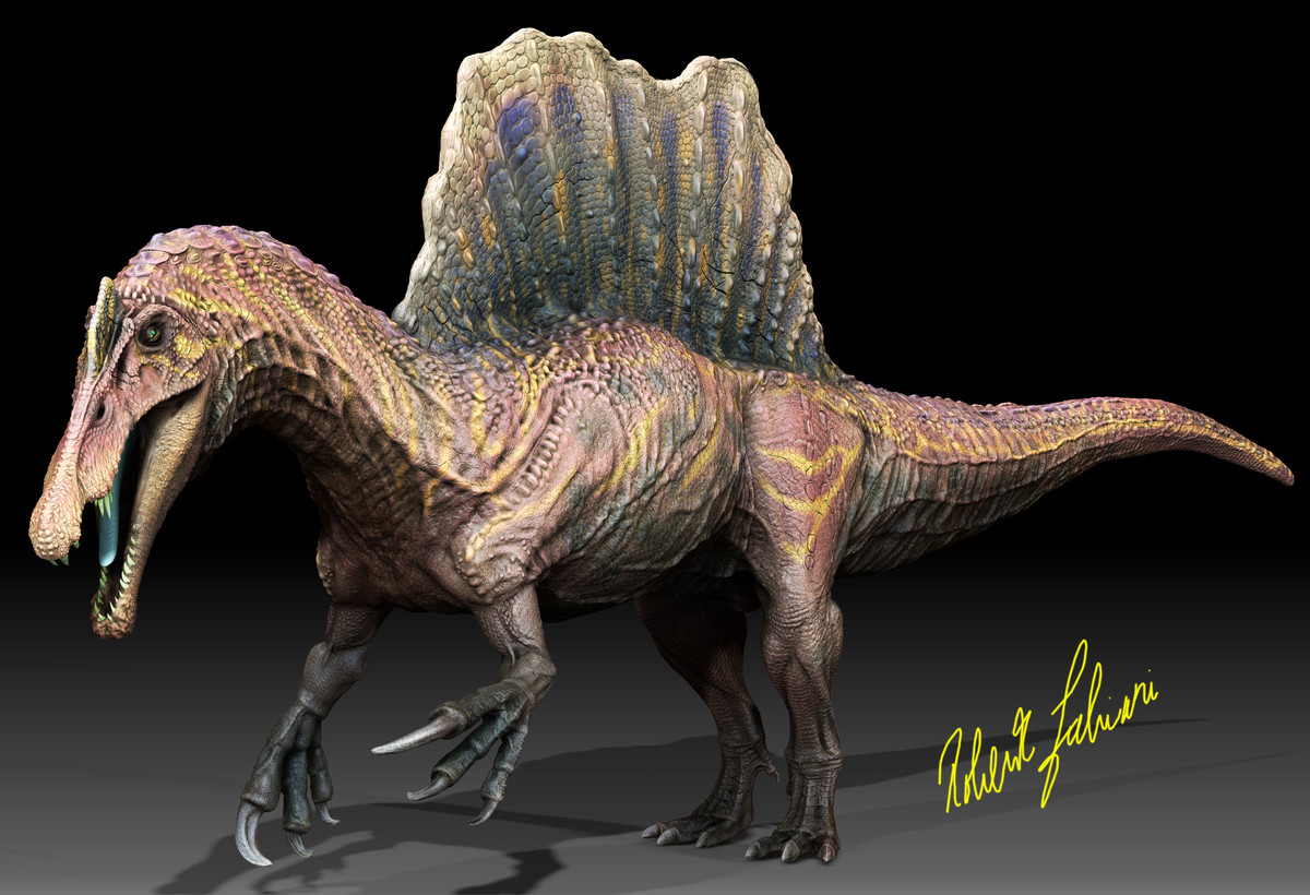 the real spinosaurus