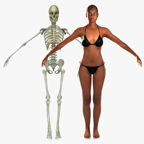 3d model human skeleton female skin.