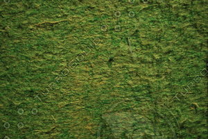 Fabric_Texture_0120