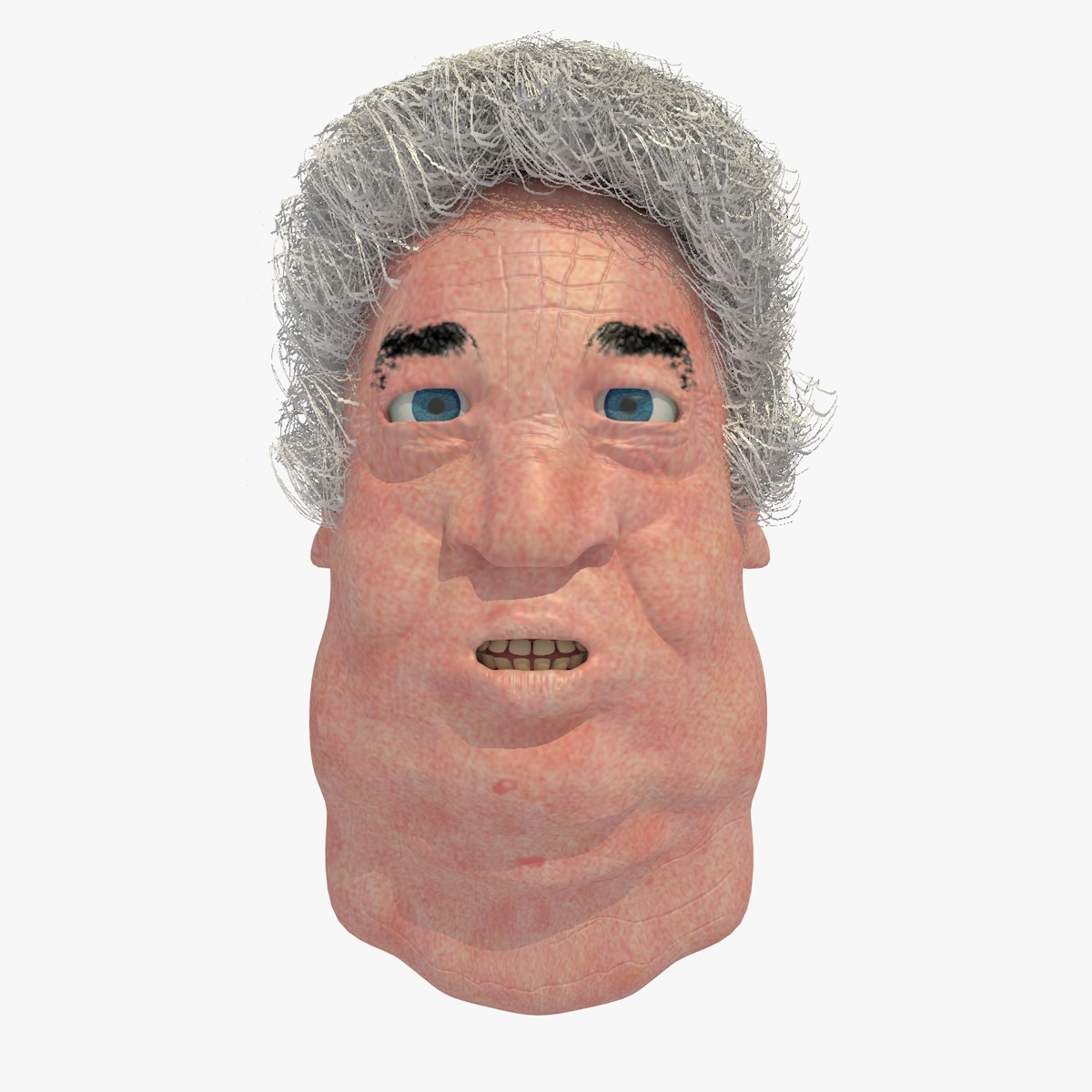 Fat Old Man Head With Grey Curly Hair 3d Model