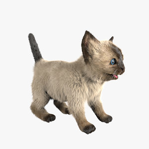3ds max fur character animation