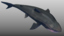 jaw shark 3d model