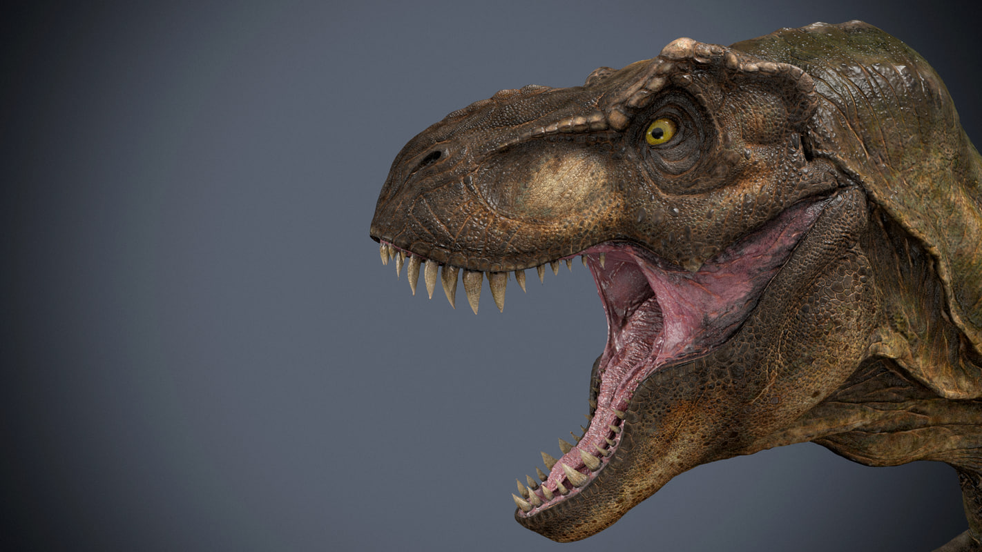 trex head size