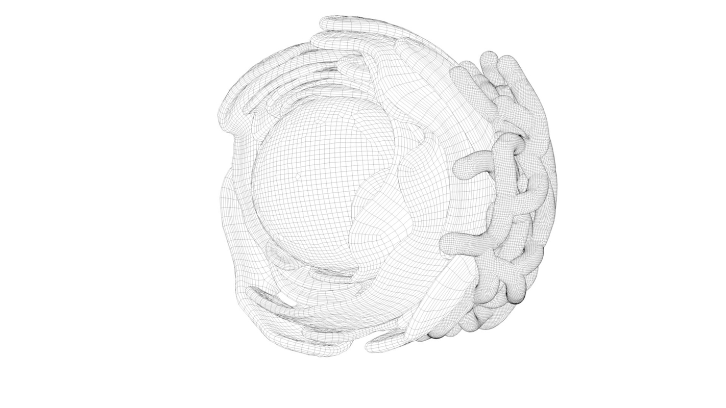 cells nucleus endoplasmic reticulum 3d model