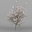 magnolia flower 3d model
