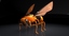 3d model of autonomous robot wasp