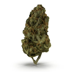 3d cannabis bud