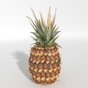 3d realistic pineapple model