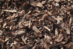 Mulch_Texture_0006