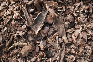 Mulch_Texture_0007