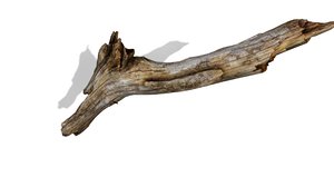 branch rotten wood 3ds