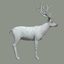 3d red deer stag fur model