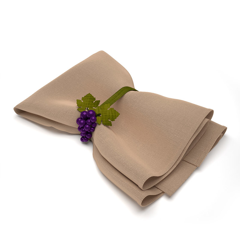 3d Model Napkin