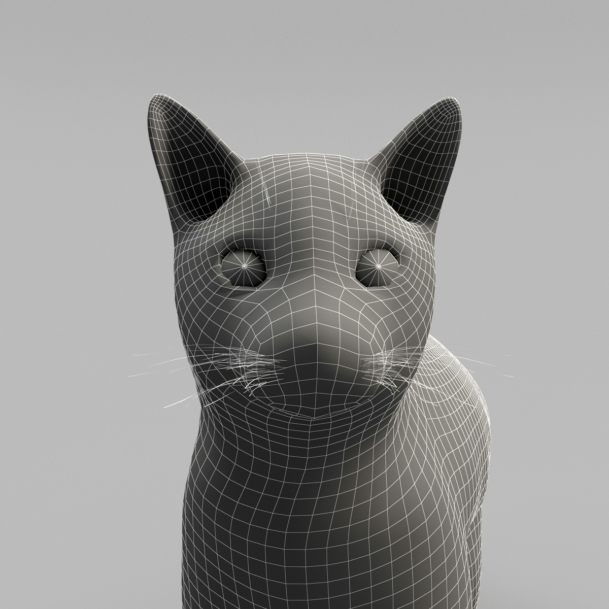 cat 3d model