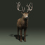 red deer stag fur 3d max