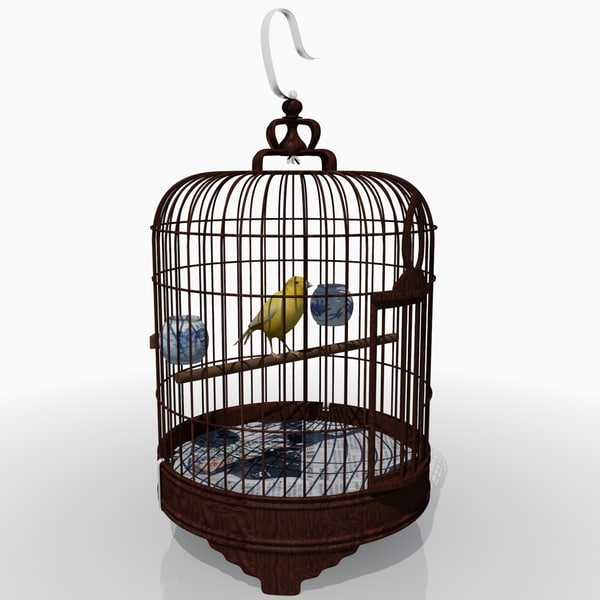 bird cage