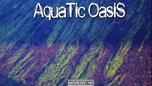 Aquatic Oasis Soundscapes - Water FX - Nova Sound