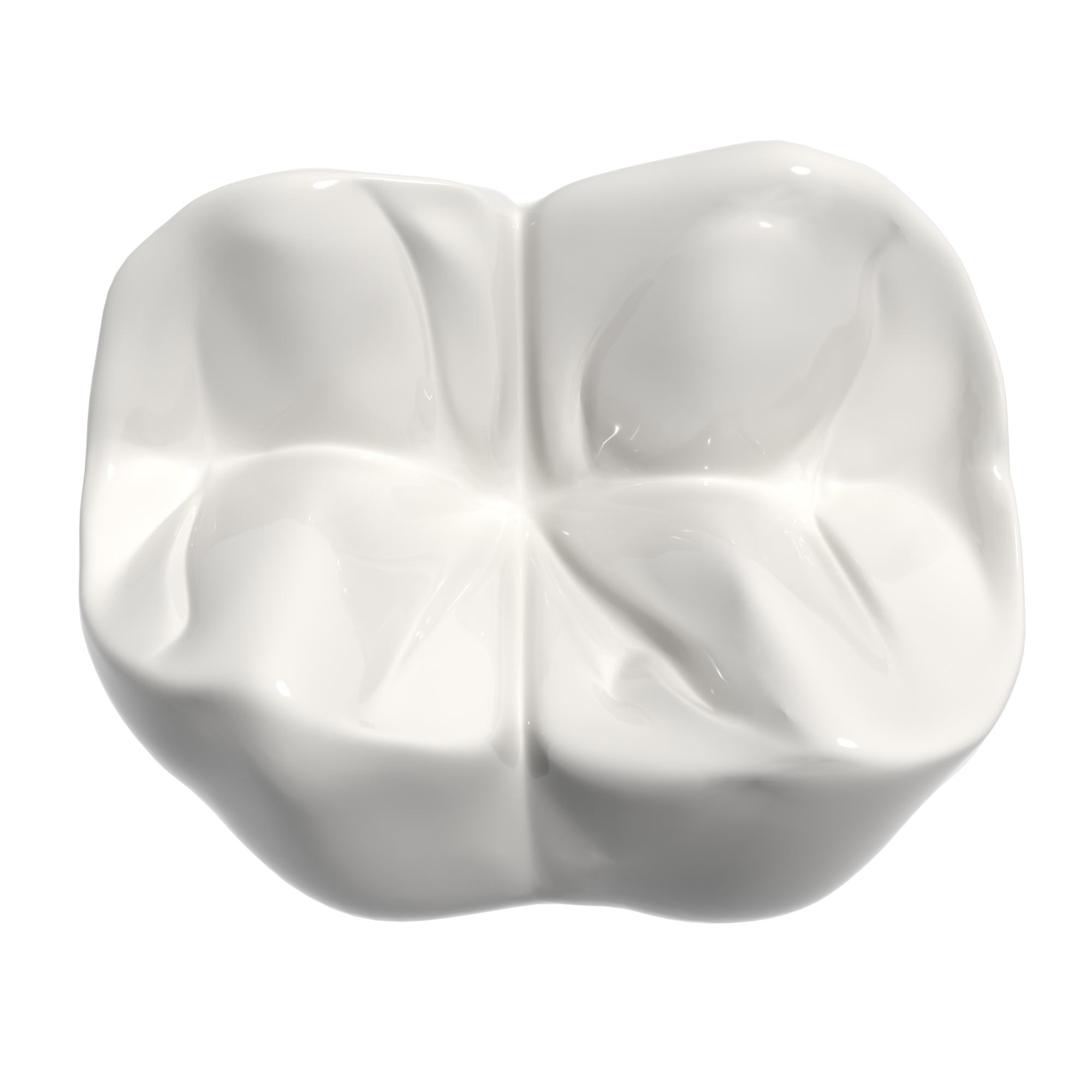 3d second molar model