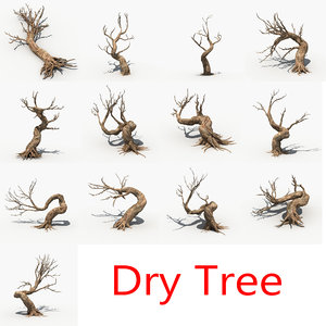 3d scary tree dry model