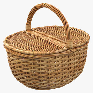3d picnic basket