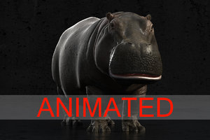 3d model of realistic animation hippo