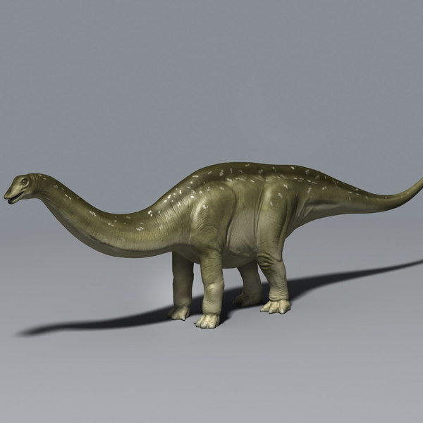 brachiosaurus brontosaurus apatosaurus diplodocus