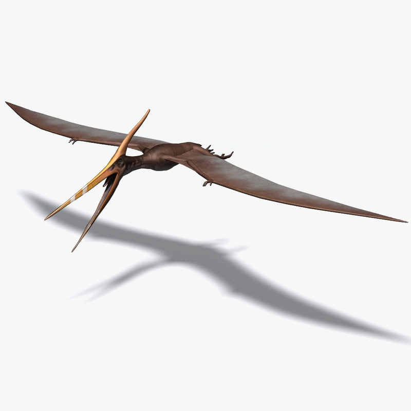 a pteranodon