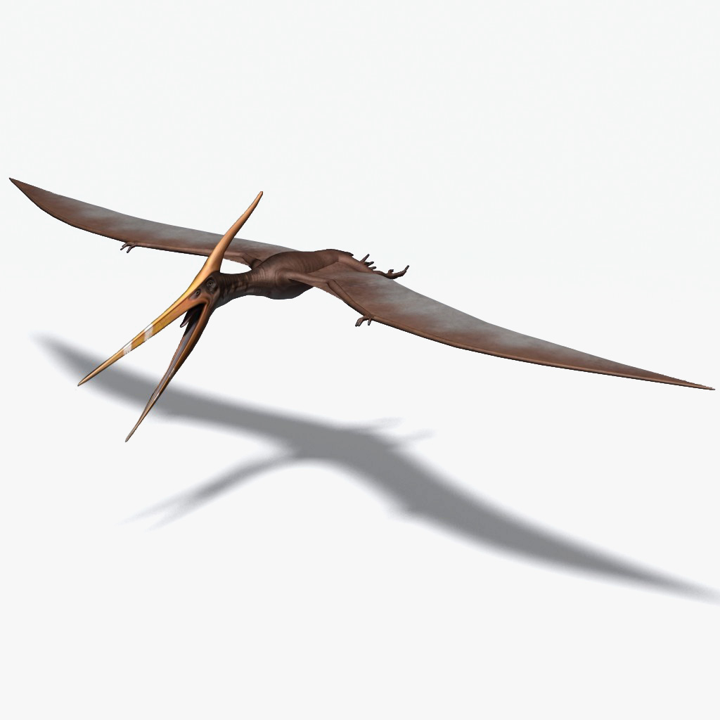 pterodáctilo e pteranodon