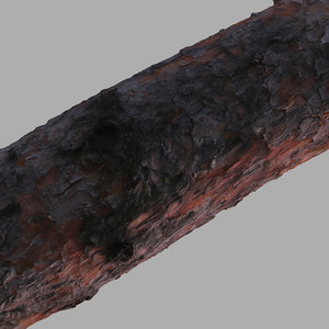 pine bark raw scan 3d model
