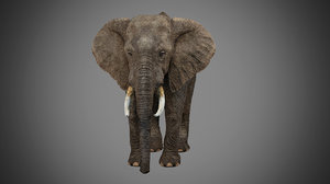 photorealistic elephant rigging 3d max