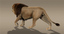 maya lion rigged fur