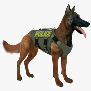 max belgian shepherd dog police