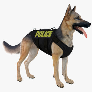 belgian shepherd dog police 3d model