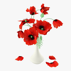 3d red poppies bouquet