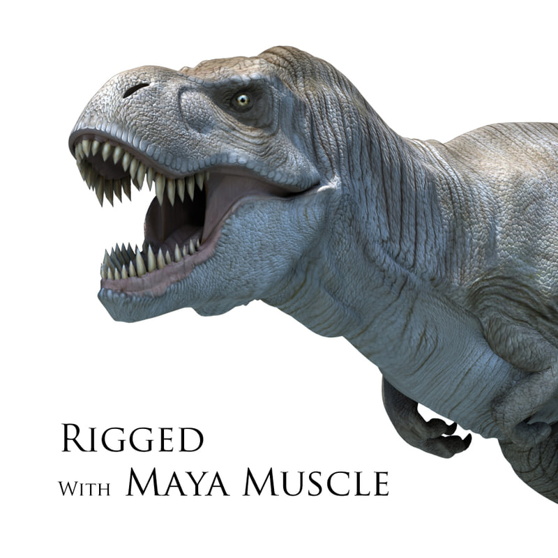 t rex muscle ma