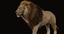3d ma lion fur animation