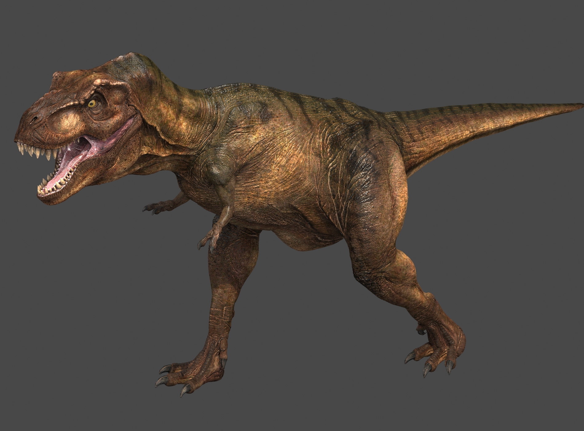 tyrannosaurus 3d google