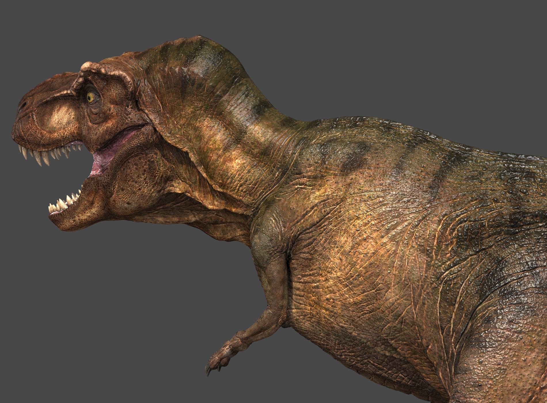tyrannosaurus in 3d