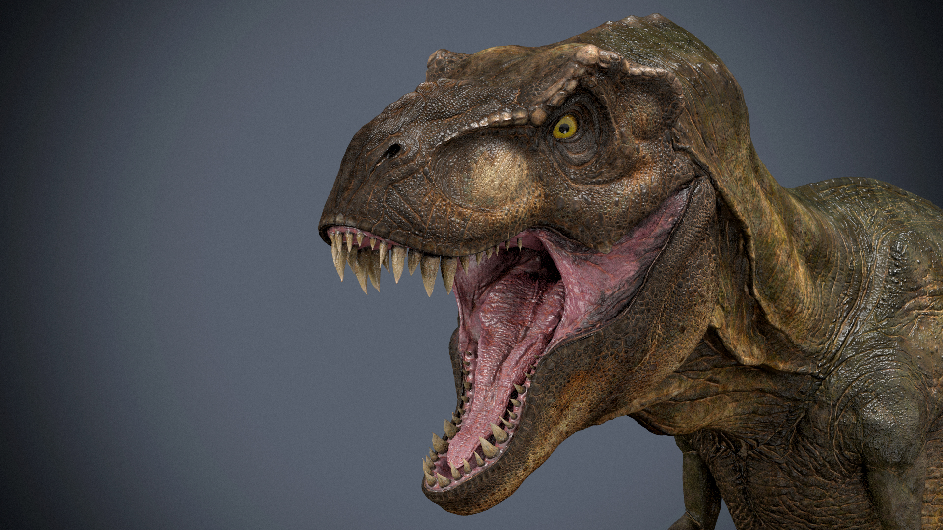 tyrannosaurus 3d google