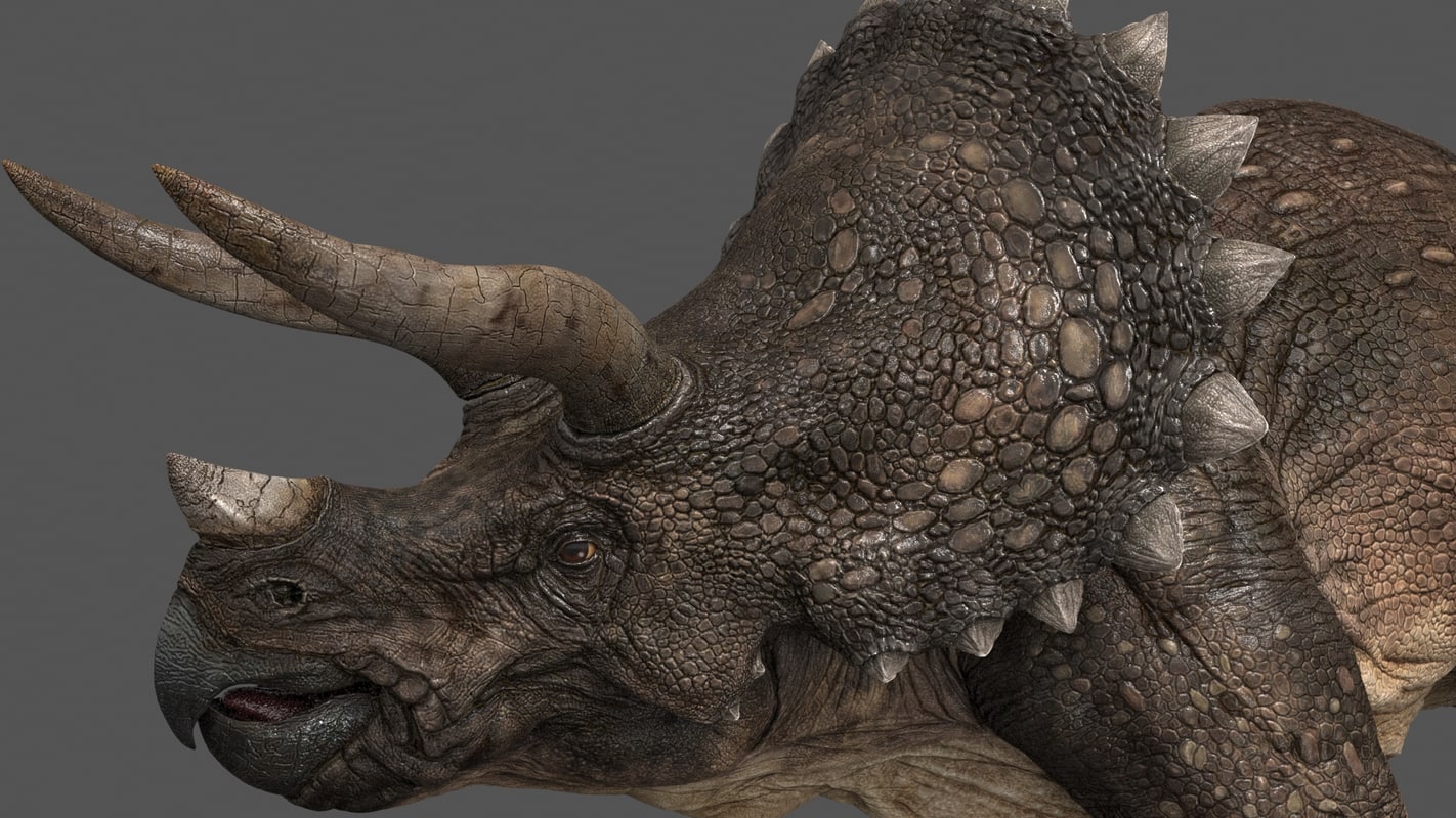 triceratops google 3d