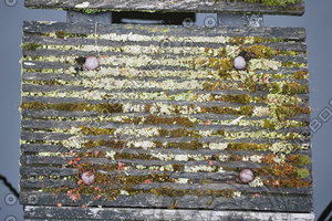 Harbour_Texture_0003