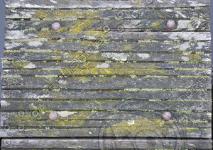 Harbour_Texture_0002