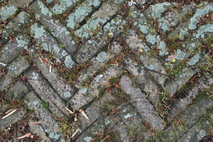 Paving_Texture_0013