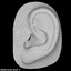 3ds realistic human ear printing