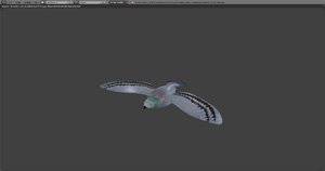 3d model rigged pigeon