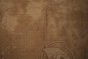 Fabric_Texture_0124