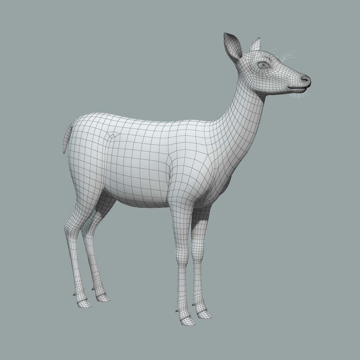 red deer doe(fur)(rigged)3d模型