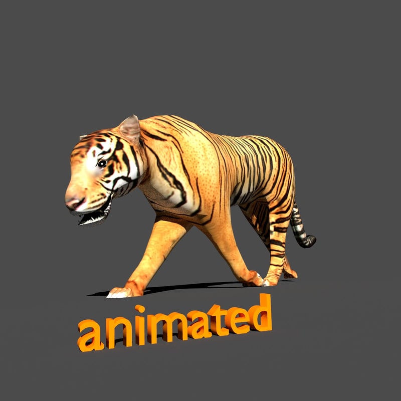 blender tiger