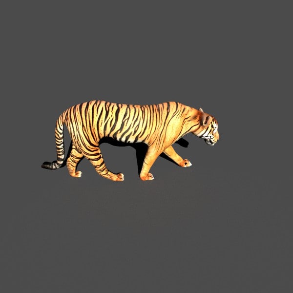 blender tiger